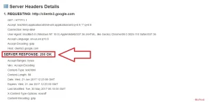 OK.webp