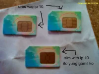 5.webp
