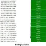 premium remote proxy.webp
