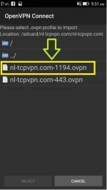 v13.webp