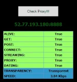 SG 100% alive proxy.webp