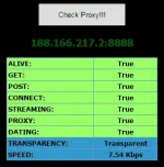 SGG 100% alive proxy.webp