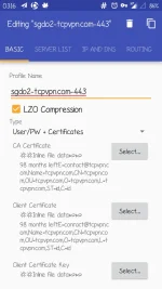 Screenshot_20170628-031653.webp