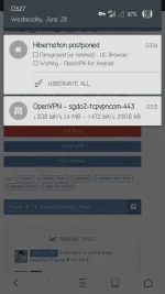 Screenshot_20170628-032743.webp