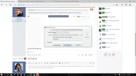 8.webp