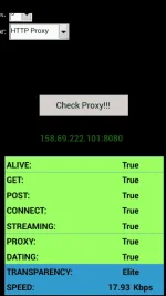 4.webp