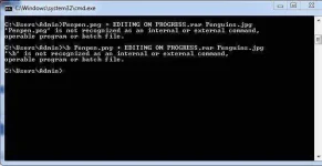 Hiding.webp