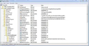 Download manager.webp