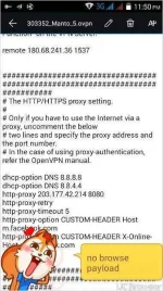 TMPDOODLE1499183551977.webp