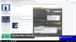 connected.webp
