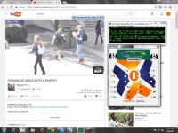 sgdo.webp sgdo.webp