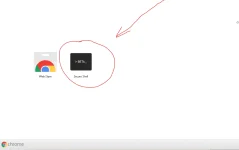 Capture.PNG6.webp