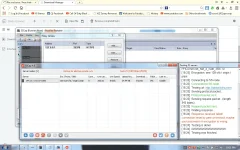 sscap.webp