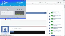 freegate.webp