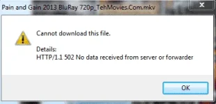 idm error.webp