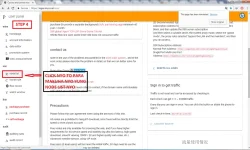 4.webp