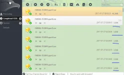 33333.webp