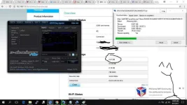 BTDS.webp
