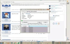 11.webp