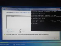 11.webp