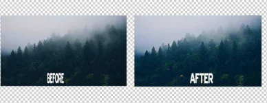 10.webp