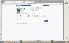a1.webp