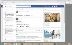 a13.webp