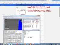 5.webp