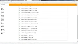 dami.webp