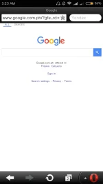 Screenshot_2017-08-11-05-23-41-460_com.opera.mini.android.yandex.webp