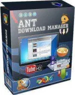 ant.webp