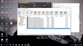 7.webp