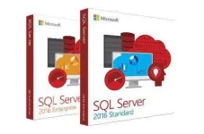 Sql Server.webp