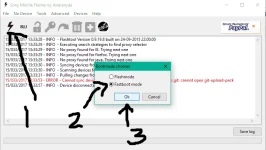 4.webp