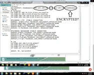 34.webp