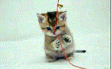 GIF-170819_192120.gif