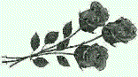 GIF-170819_185550.gif