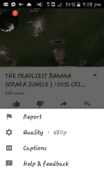 Screenshot_2017-08-20-21-08-50.webp