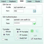 p2.webp