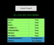 P10.webp