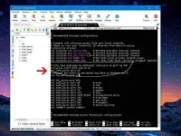 phc.webp