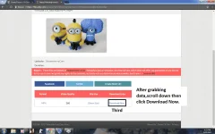 4.webp