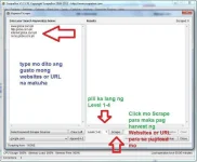 sb2.webp