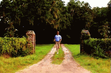 tenor (2).gif