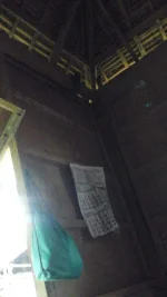 1503994386795-1898768499.webp