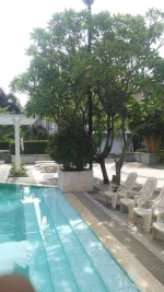 IMG_20170713_085840.webp