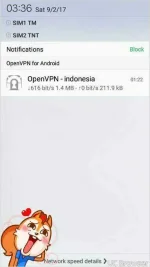 TMPDOODLE1504294717026.webp