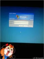 TMPDOODLE1504306197643.webp