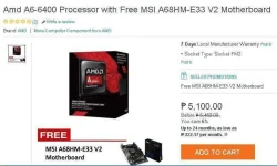 amd.webp