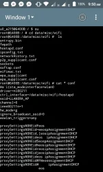 16831216_1264863233610642_565631802_n.webp